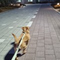서서*****_썸네일