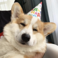 블랙*****_썸네일