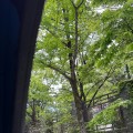 박니*****_썸네일
