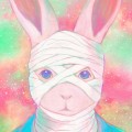 9rayvirus 프로필
