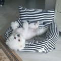 Kq*****_썸네일
