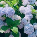 행복*****_썸네일