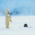 36*****_썸네일