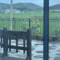 노르*****_썸네일