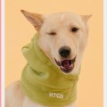 강아*****_썸네일