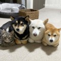 대프*****_썸네일