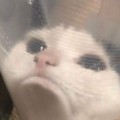 HA*****_썸네일