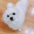 너랑*****_썸네일