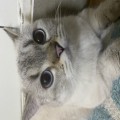 단정*****_썸네일