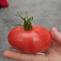 신나*****_썸네일