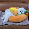 하트*****_썸네일
