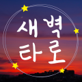 새벽타로 프로필