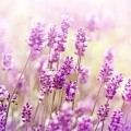서민*****_썸네일