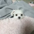 교양*****_썸네일