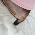 콩쓰*****_썸네일