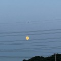 le*****_썸네일