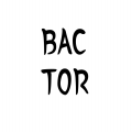 BACTOR 프로필