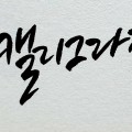 달밤캘리 프로필