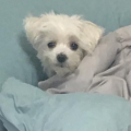 교******_썸네일