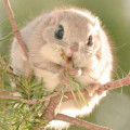 고석*****_썸네일