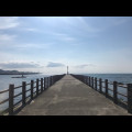 sh*****_썸네일