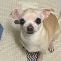 유능*****_썸네일