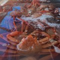 크랩*****_썸네일