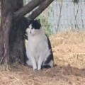 도꼬*****_썸네일
