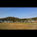 on*****_썸네일