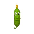 picklelab 프로필