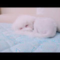 미소*****_썸네일