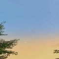 젤리*****_썸네일
