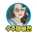 수주의비전 프로필