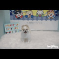 K5*****_썸네일