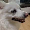 여눗*****_썸네일