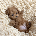섭2*****_썸네일