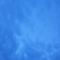 K9*****_썸네일