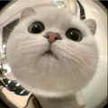 지윤*****_썸네일