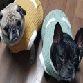 Su*****_썸네일