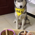 Li*****_썸네일