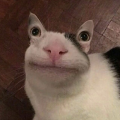 블링*****_썸네일