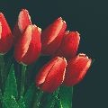 mi*****_썸네일