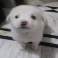 체계*****_썸네일