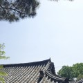 다시*****_썸네일