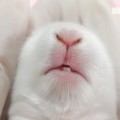 또리*****_썸네일