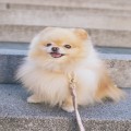 라블*****_썸네일