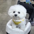 랑슬*****_썸네일