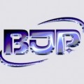 BlueDonutPlay블도플 프로필