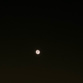 와이*****_썸네일