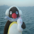찌루*****_썸네일